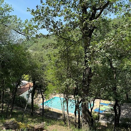 Maison Avec Piscine Chauffee Entre Mer Et Montagne Montauriol  Bagian luar foto