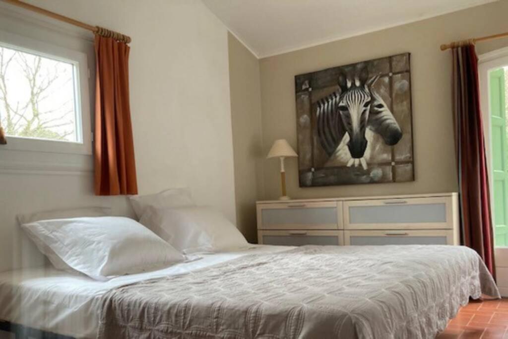 Maison Avec Piscine Chauffee Entre Mer Et Montagne Montauriol  Bagian luar foto