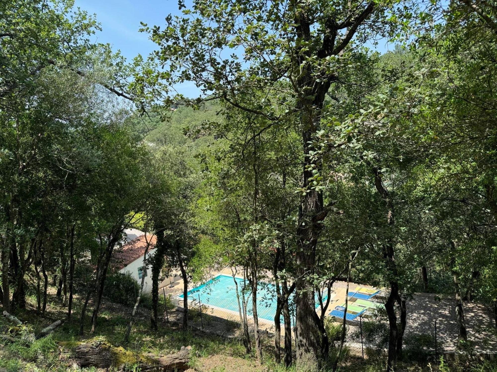 Maison Avec Piscine Chauffee Entre Mer Et Montagne Montauriol  Bagian luar foto